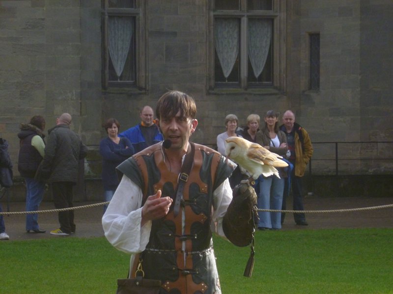 Owl display at Warwick Castle